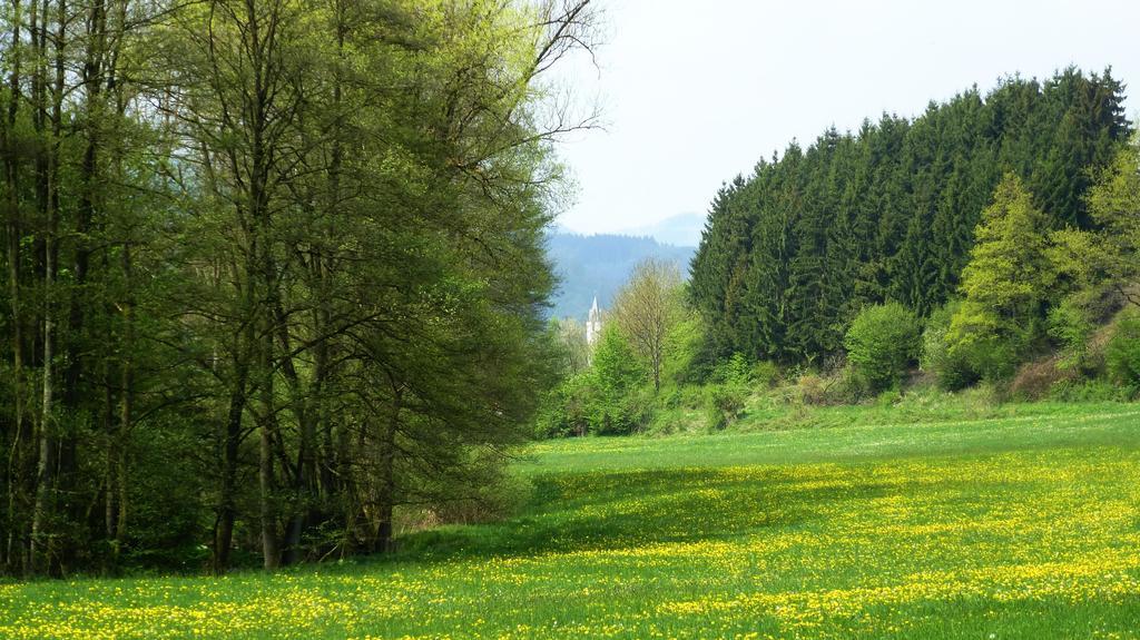 Haus Elpe Naehe Meschede Winterberg Villa Olsberg Ruang foto