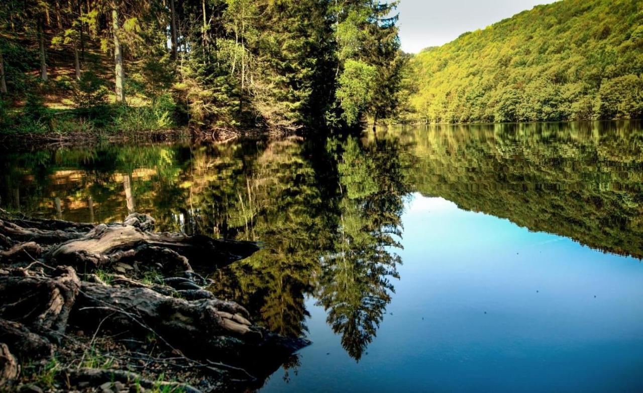 Haus Elpe Naehe Meschede Winterberg Villa Olsberg Bagian luar foto
