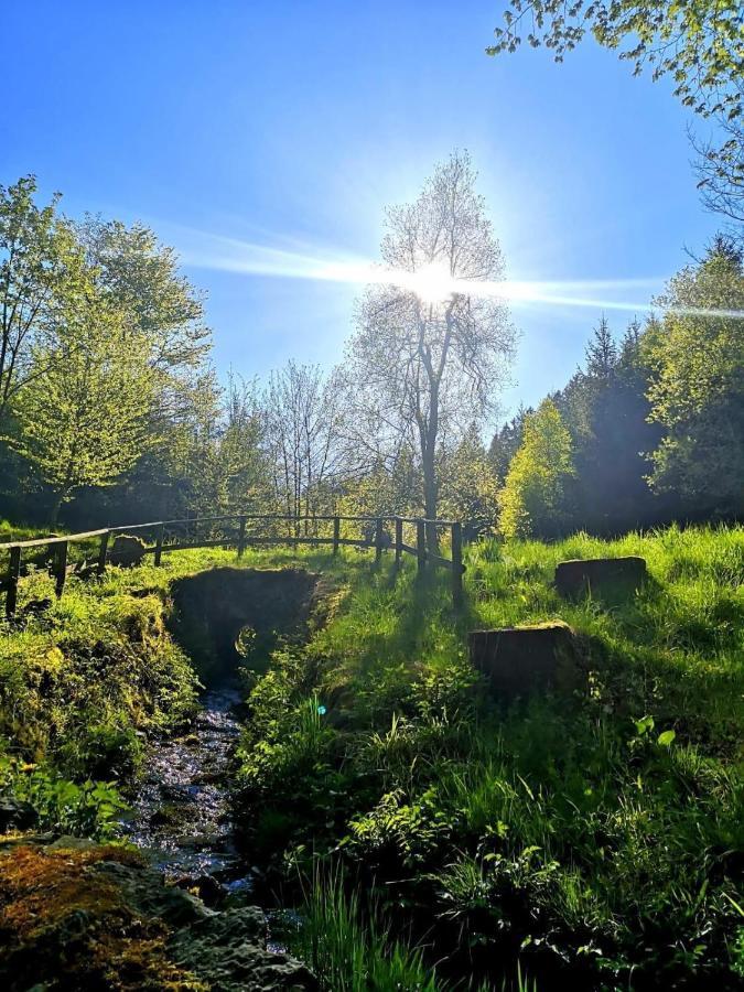 Haus Elpe Naehe Meschede Winterberg Villa Olsberg Bagian luar foto