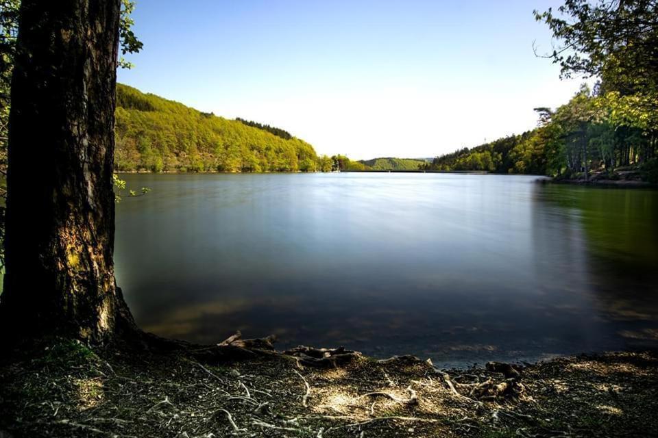 Haus Elpe Naehe Meschede Winterberg Villa Olsberg Bagian luar foto